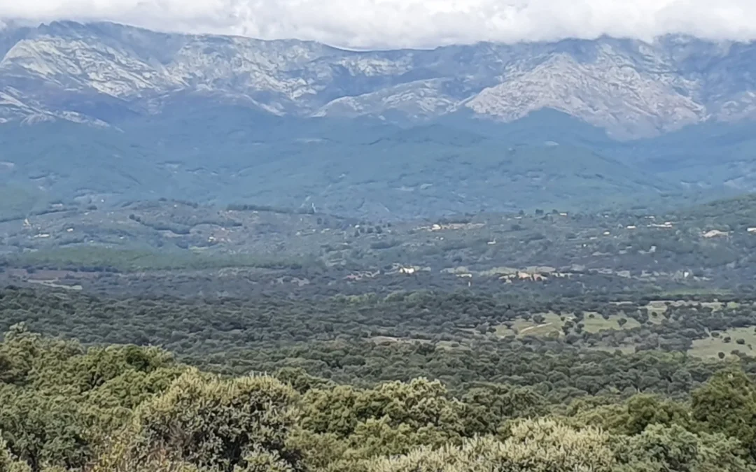FINCA DE 40 HAS EN LA ZONA DE VALLE DEL TIETAR