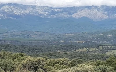 FINCA DE 40 HAS EN LA ZONA DE VALLE DEL TIETAR