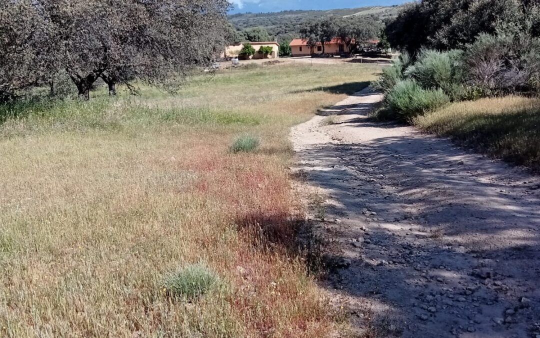 FINCA DE UNAS 50 HAS EN LA ZONA NORTE DE TOLEDO