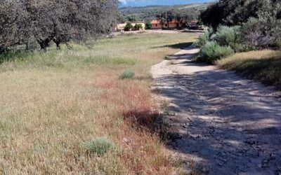FINCA DE UNAS 50 HAS EN LA ZONA NORTE DE TOLEDO