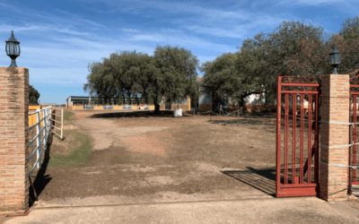 FINCA DE 23 HAS EN CÁCERES ESPECIALMENTE ADAPTADA PARA LA EQUITACIÓN