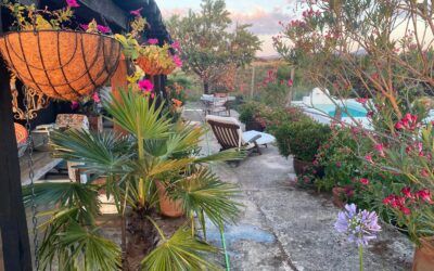 CASA DE CAMPO EN IBORES-VILLUERCAS
